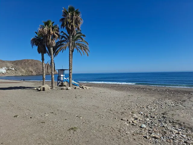ATICO EN PRIMERA LINEA DE PLAYA Finca 125